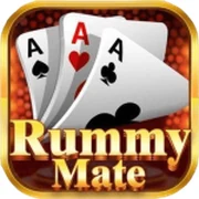Rummy Mate icon
